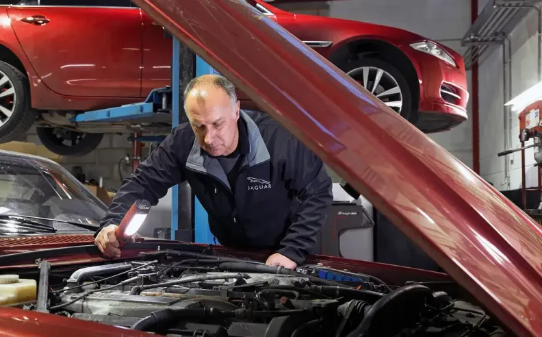 قائمة الفحص الذاتي