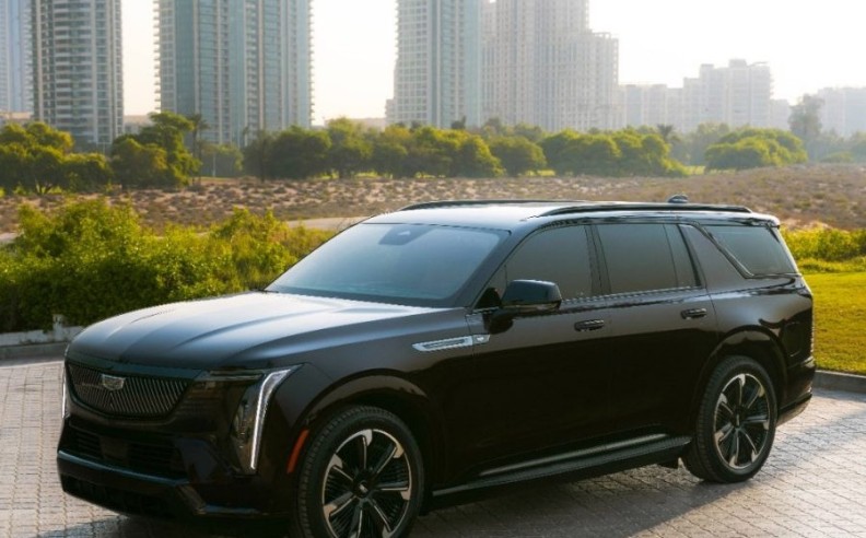 التصميم والهوية البصرية: حضور طاغٍ بلمسة عصرية