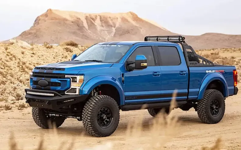 Performance Lineup