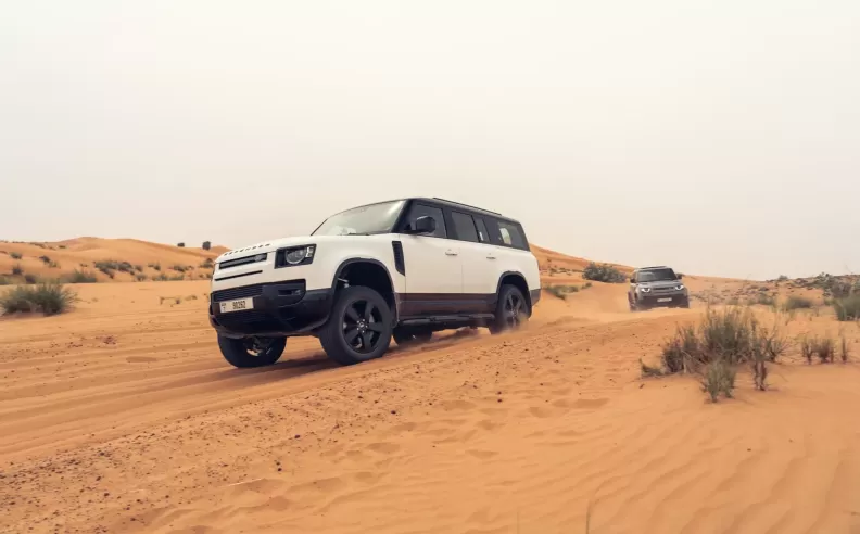 The meaning of the numbers in Defender 