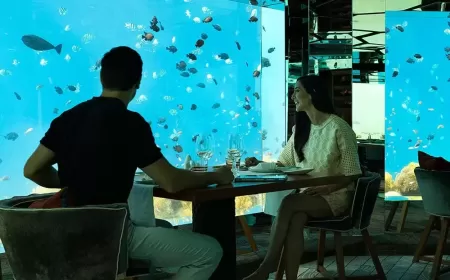 Anantara Kihavah Maldives Villas Launches Stunning Scientific Based  Book on the Island’s Unique Coral Reef Ecosystem