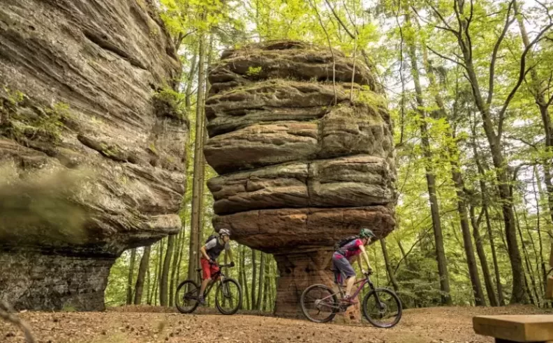 GCC travelers were responsible consistent growth in Germany 