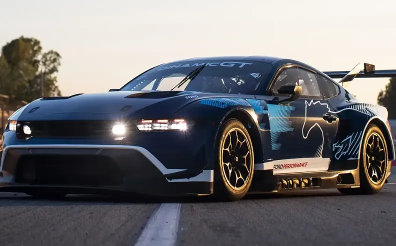 التفاني في التقاط أفضل اللحظات