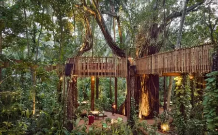 The Maldives' Only Jungle Dining Experience Returns as Nest Reopens at Niyama