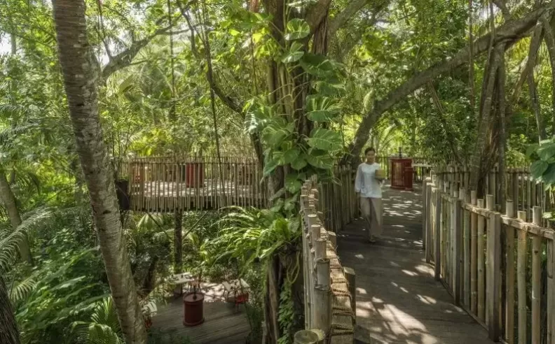 A Unique Jungle Dining Experience