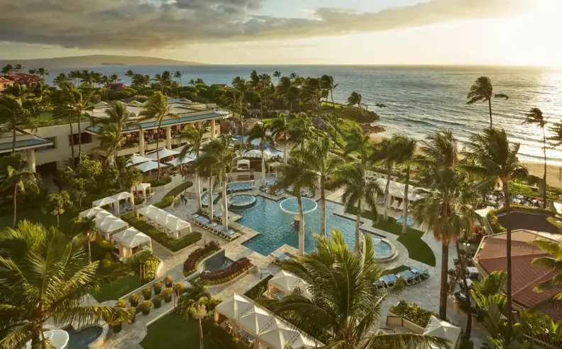 منهجية التصنيف: دقة العملية وأهميتها