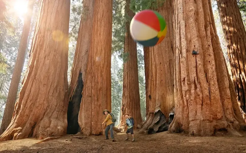 كاليفورنيا تفتح أبواب المتعة: اكتشف ساحة اللعب المثالية