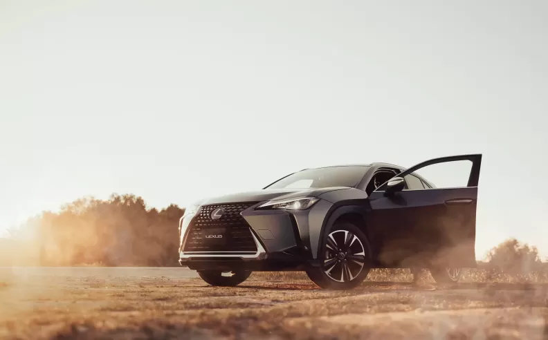 A Solid Structure to Build on