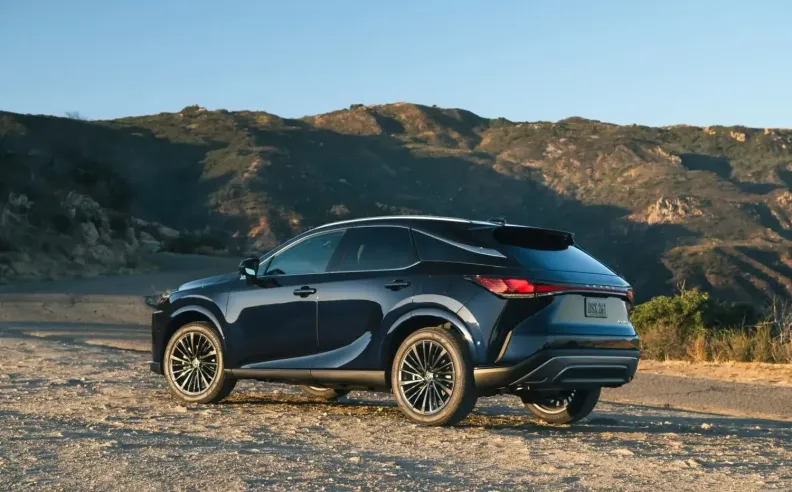 العلامات التجارية الأكثر اقتصادية والتي تضمن الاعتمادية