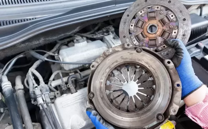 Single vs Twin Disc Debate