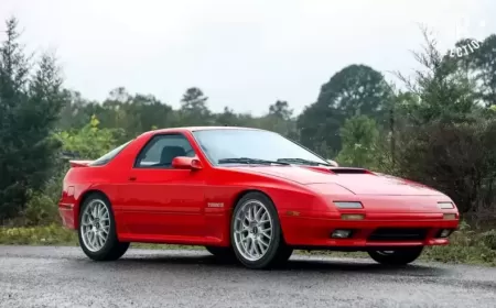 From Hobby to History The 1300 Car Collection in Alabama