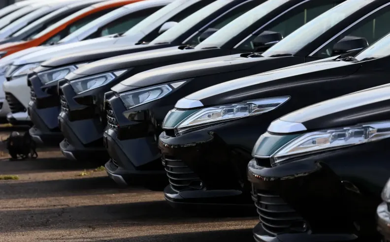 أسواق متخصصة وتجارب مبتكرة