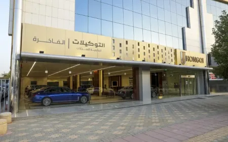 أسطول سيارات هونشي 2023 المتوفر في السعودية