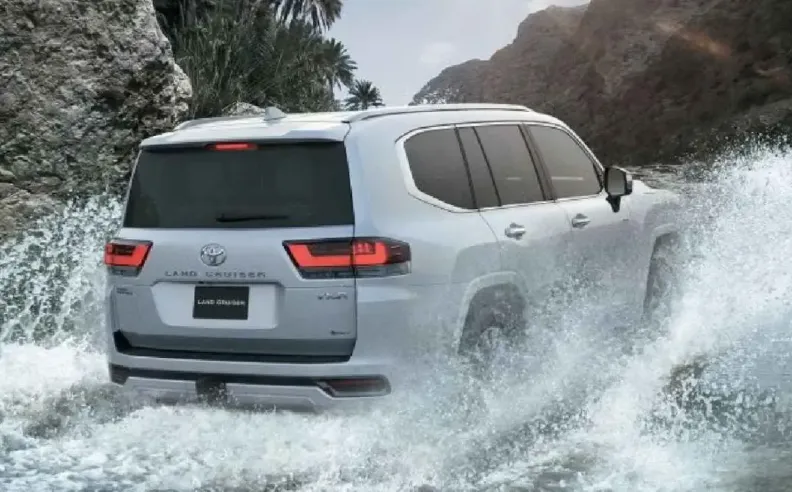 الأسعار والفئات في الإمارات