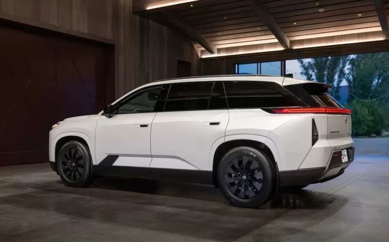 Electric Performance and Power Options