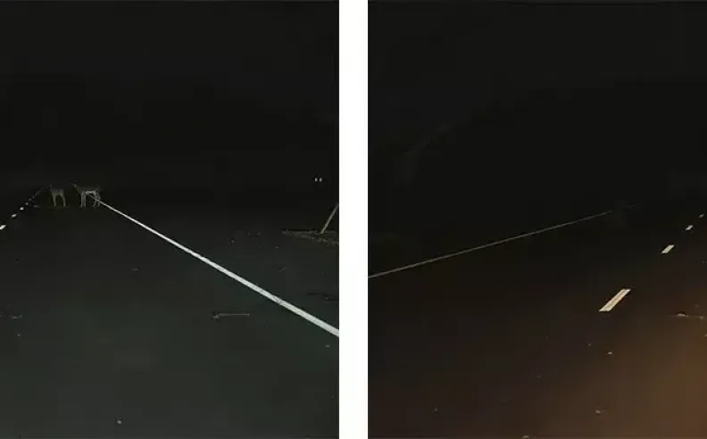 لغز الحوادث غير المرئية وضعف البنية التحتية