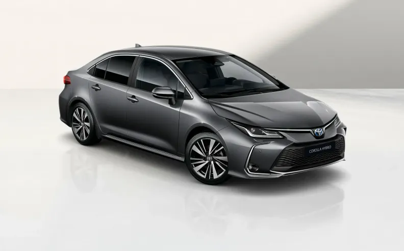 الحزمة الذهبية: كيف تكافئ بولندا أبطالها في 2026؟