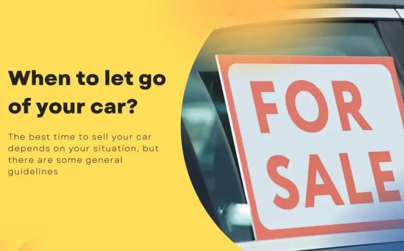 قاعدة 50%: المؤشر المالي الأهم