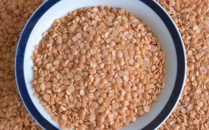 الحمص المجفف: بروتين نباتي عالي الجودة