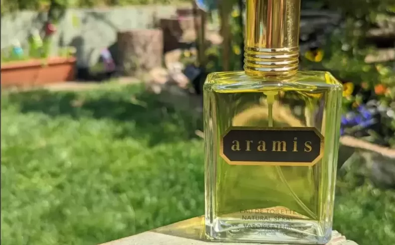 Aramis: Ideal for Winter Settings