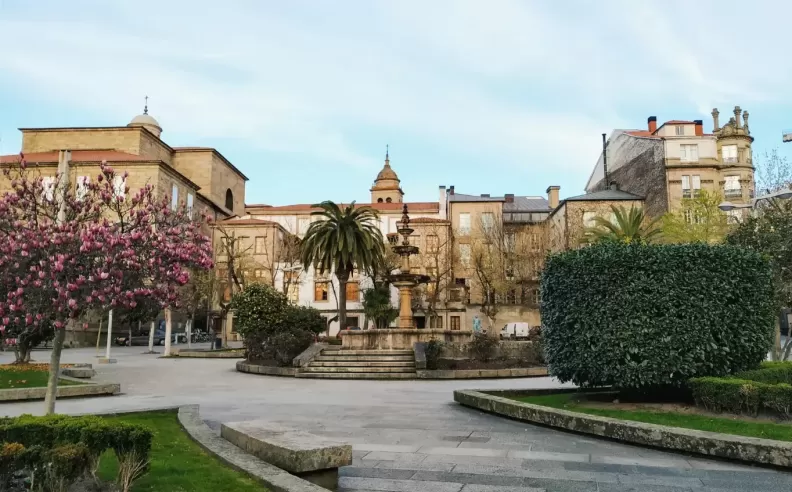 الطهي والمذاقات المحلية: مشهد مطاعم أورينسي