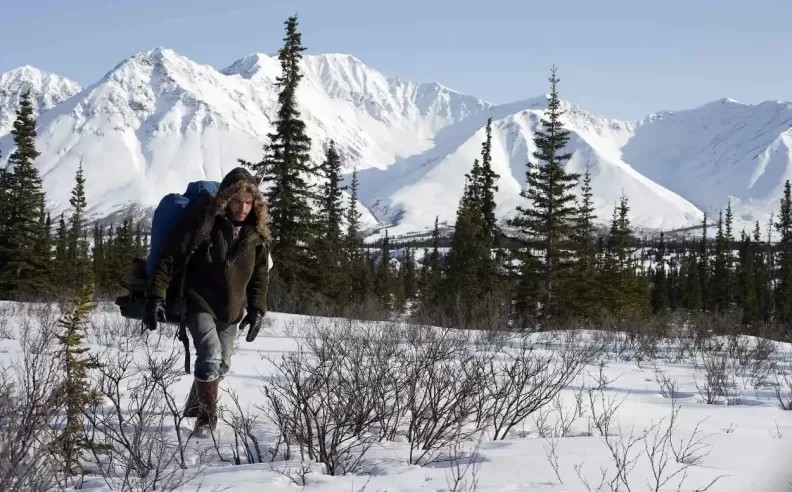 Into The Wild (2007)