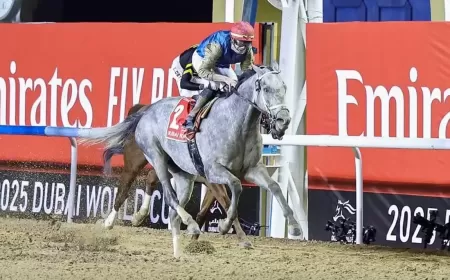 Hit Show Crowned Champion of the 2025 Dubai World Cup