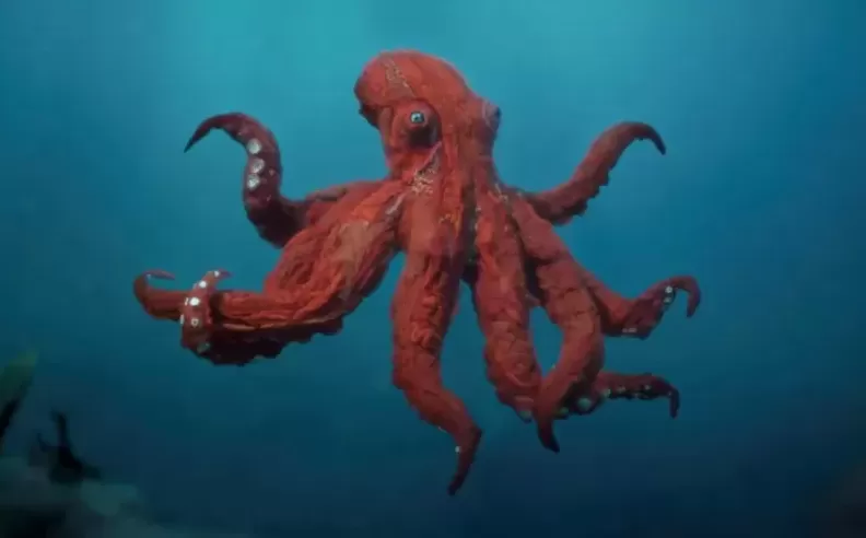 Octopus! على Prime Video