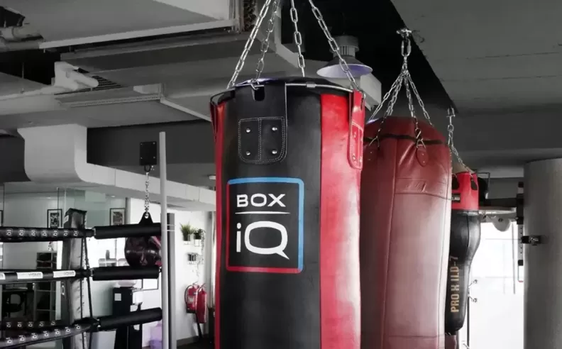 ملاكمة النخبة في BOXIQ