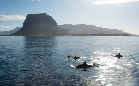 This Summer, Mauritius Invites Saudi Families to Discover Unforgettable Adventures and Relaxation