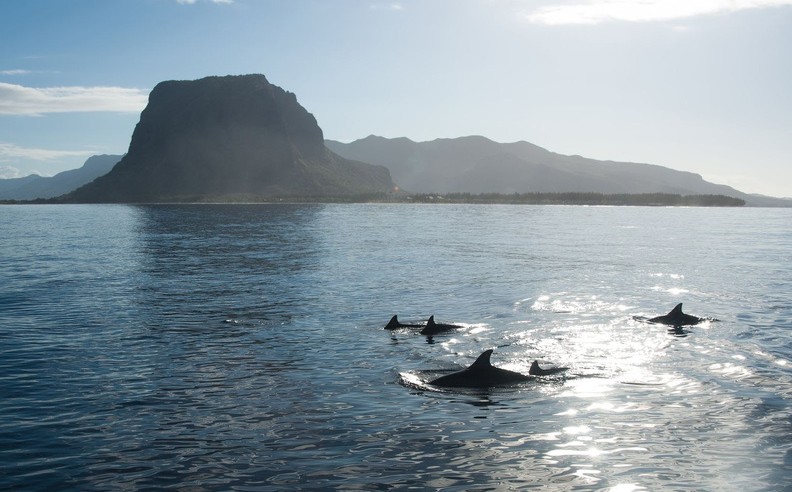 This Summer, Mauritius Invites Saudi Families to Discover Unforgettable Adventures and Relaxation
