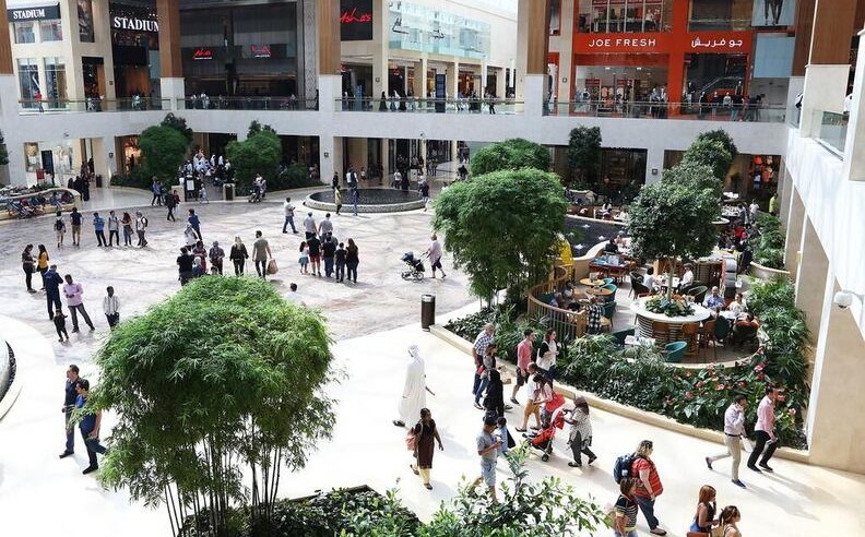 ميزالونا: تجربة إيطالية أصيلة