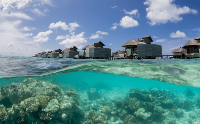 Immerse in Bali and Seychelles