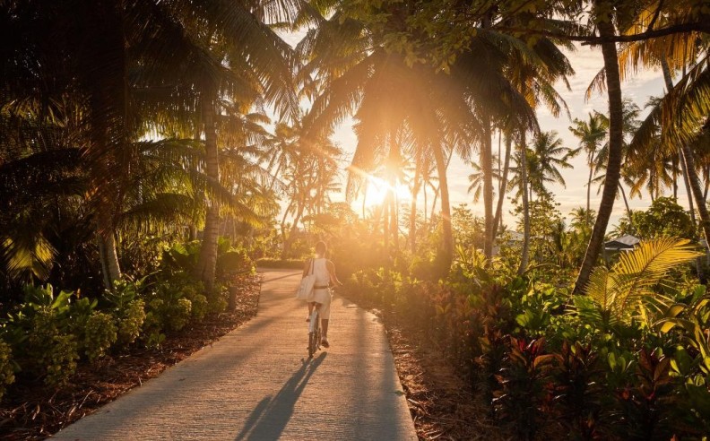 A holistic blend of ancient healing and modern science for lasting well-being
