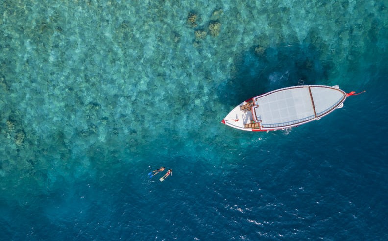 Thriving Marine Life and Shark Encounters