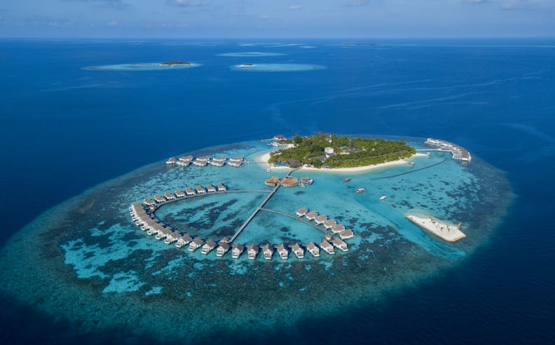  Rare Coral Species and Colourful Gardens