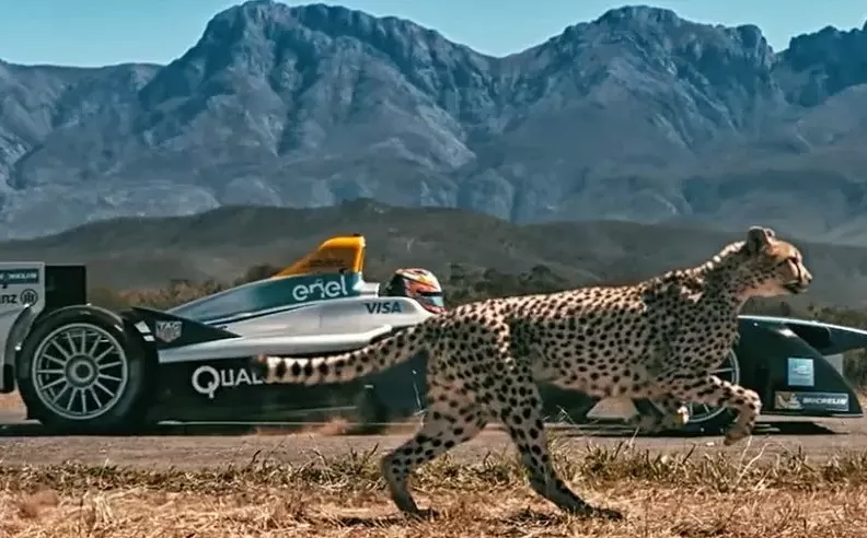 السباق الكبير بين الطبيعة والتقنية
