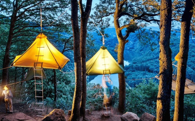 Experience the Night Under the Stars