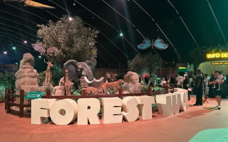 Wonder Forest One of Jeddah Season 2025's New Entertainment Zones