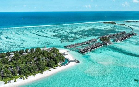 Jesse Mendes Joins 2025 Four Seasons Maldives Surfing Trophy