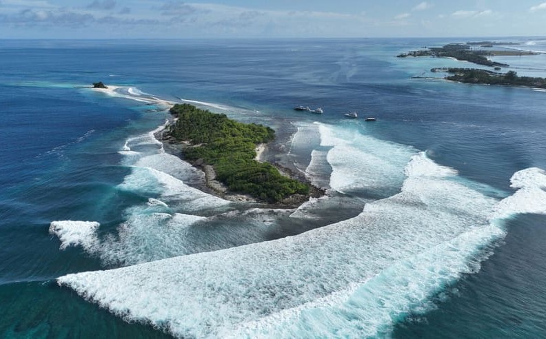 What Makes the Surfing Champions Trophy Special?