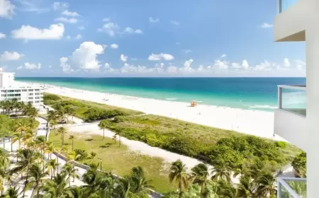 Discover Pure Relaxation with Marriott South Beach Summer Escape