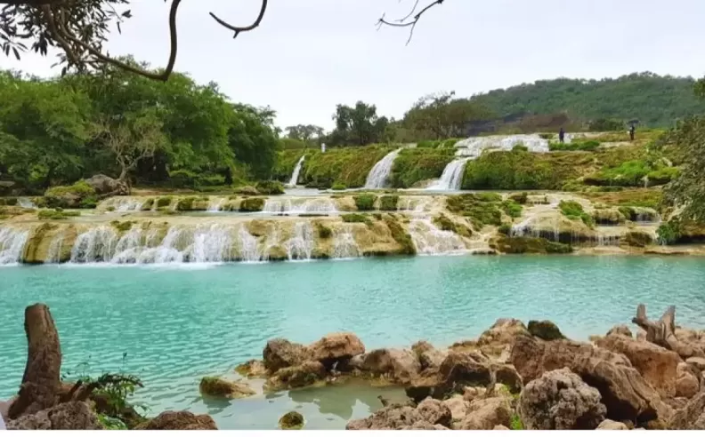 سحر عين رزات الخضراء