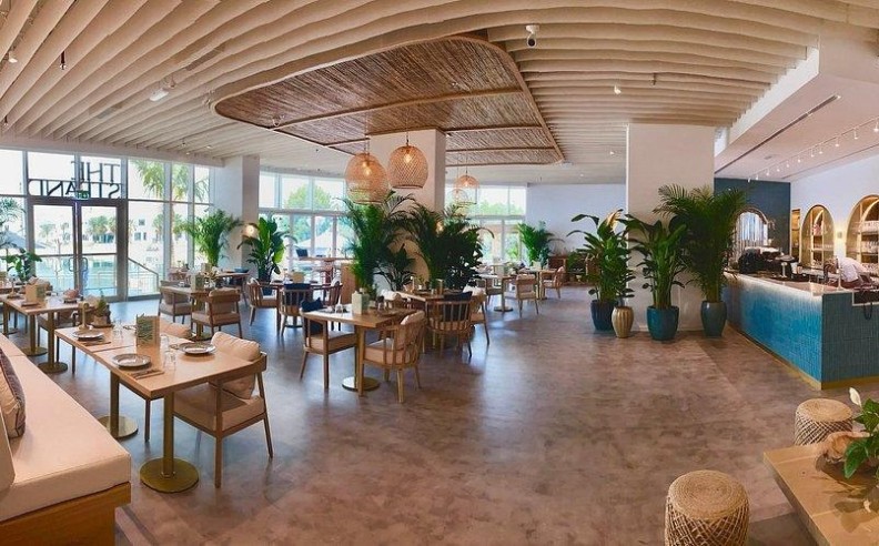 Comedy Night on the Palm: Global Talent Meets Local Flair