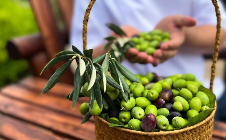 Festival Finale and Cultural Celebration