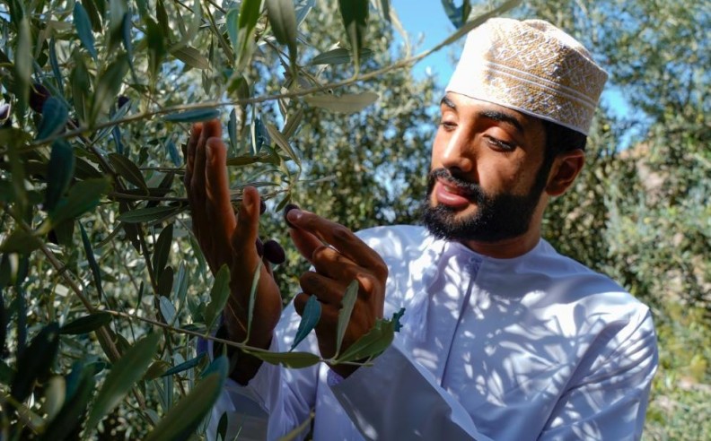 Anantara Al Jabal Al Akhdar Resort Overview