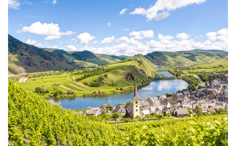 Tailored Travel for GCC Visitors