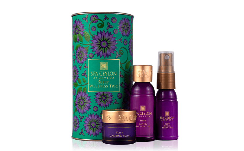 فلسفة المسؤولية والاستدامة