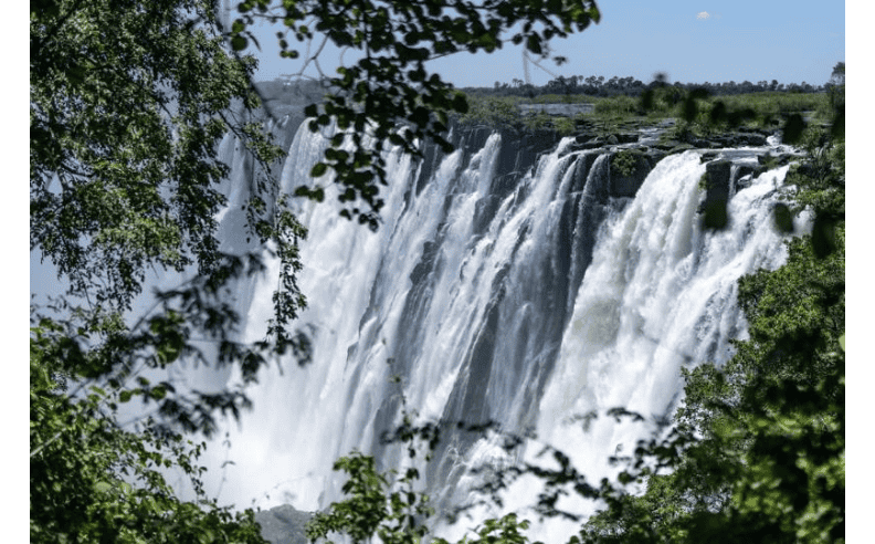 Wildlife and Safari Adventures