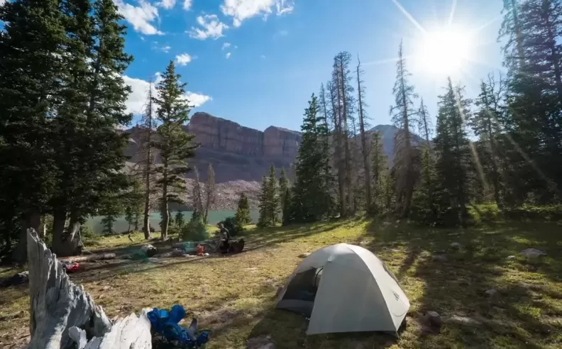 Choosing Where to Sleep